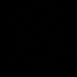 Meet your Posher, Assac